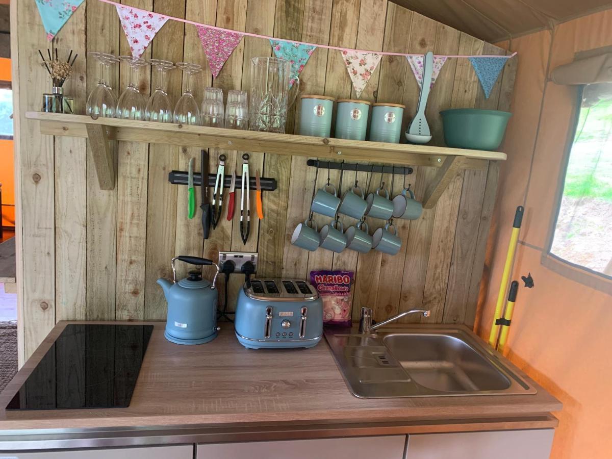 דולגלאו Mountain View Safari Tent With Hot Tub In The Heart Of Snowdonia מראה חיצוני תמונה
